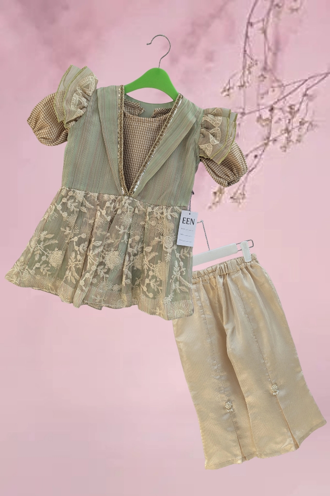 Embroidered Chiffon with Sequence Lace (Olive Green)